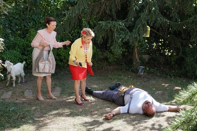 Bölüm: 4