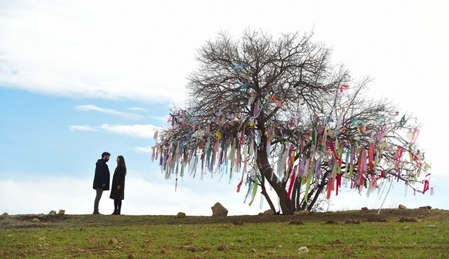 Setten İlk Kareler