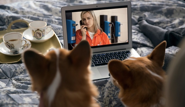 Netflix, evcil hayvanlarla birlikte izlenen diziler listesi yayınladı